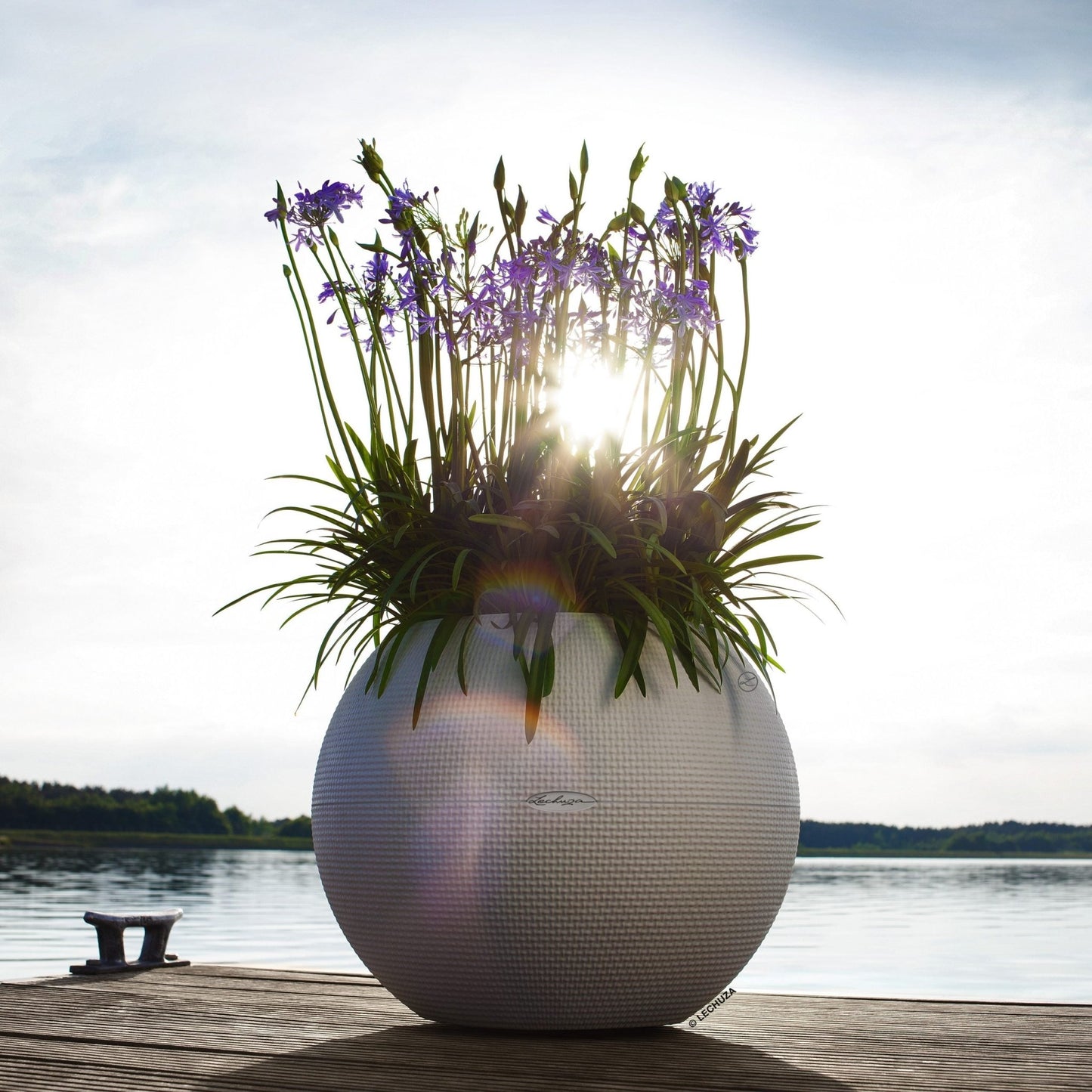 PURO COLOR 50 - mazeproducts