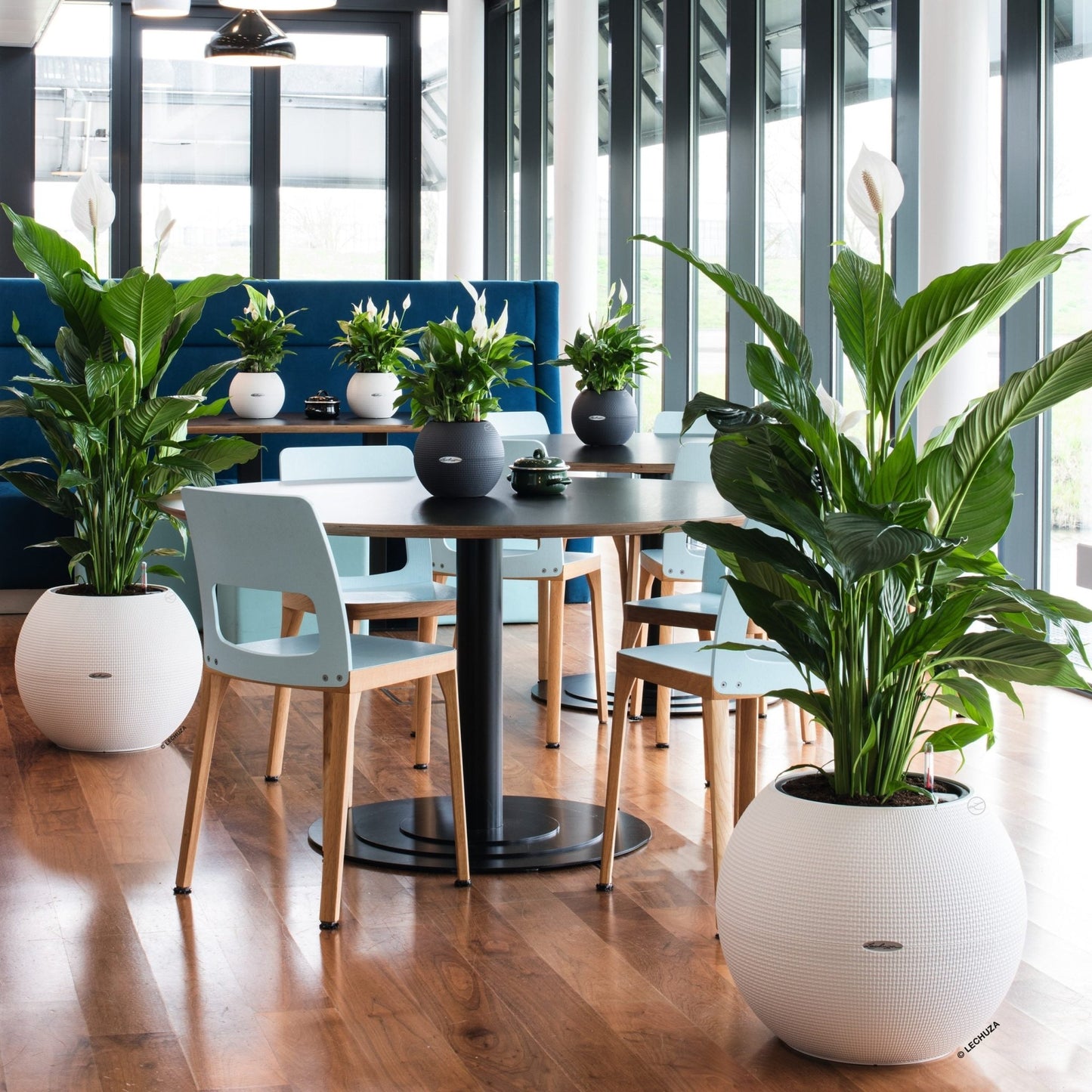 PURO COLOR 50 - mazeproducts