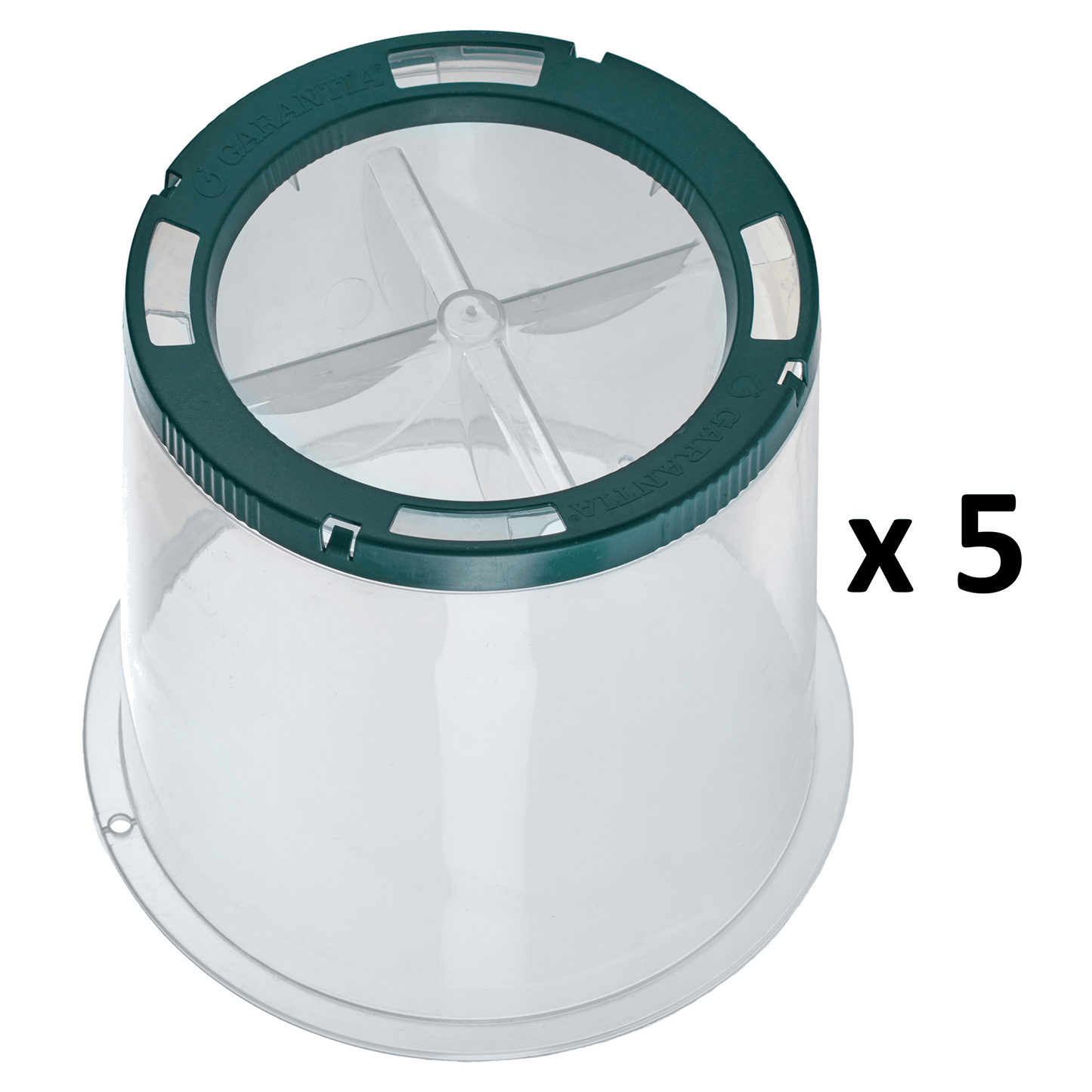 Sunny Cloche (Set of 5) - mazeproducts