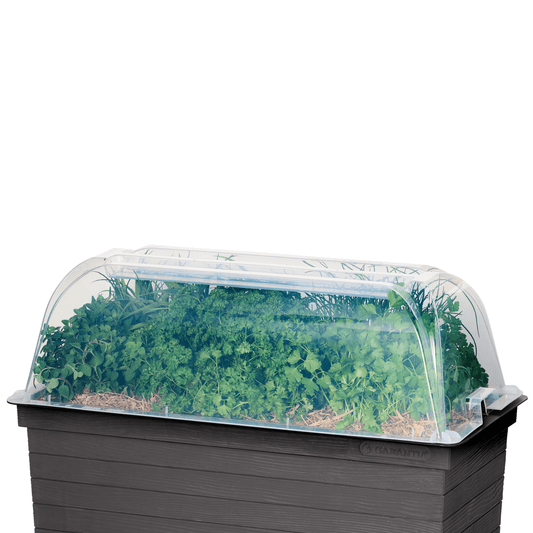 Cloche Cover for URBAN Raised Planter - mazeproducts
