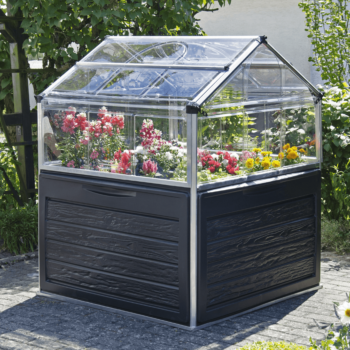 Plant Inn – Mini Greenhouse - mazeproducts