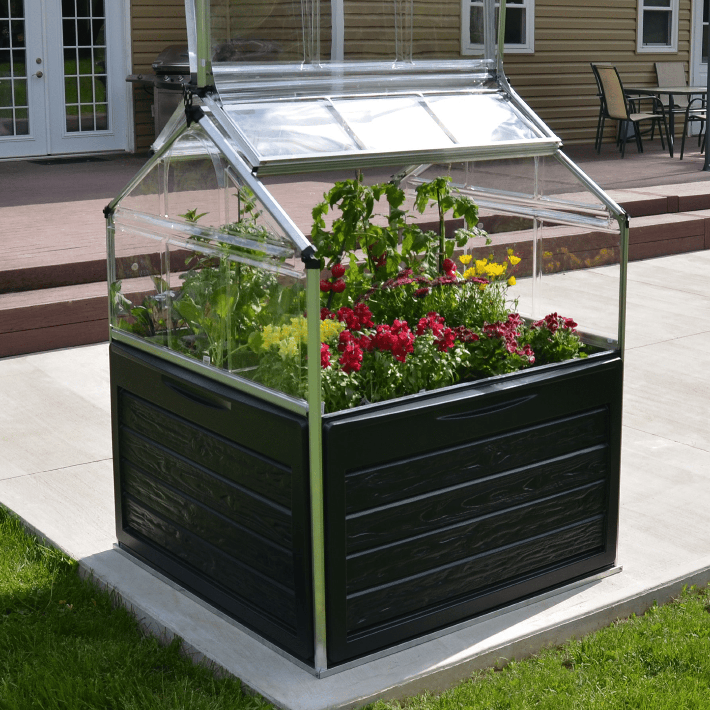 Plant Inn – Mini Greenhouse - mazeproducts