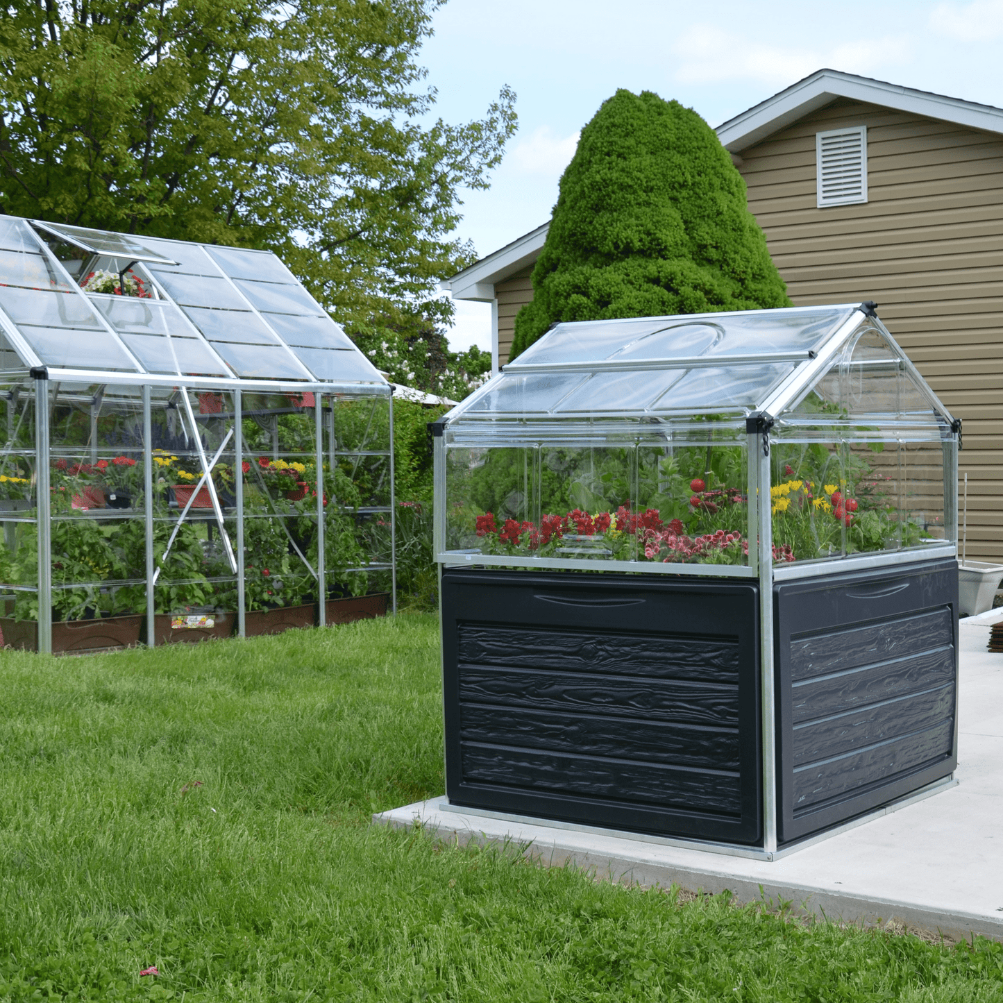 Plant Inn – Mini Greenhouse - mazeproducts