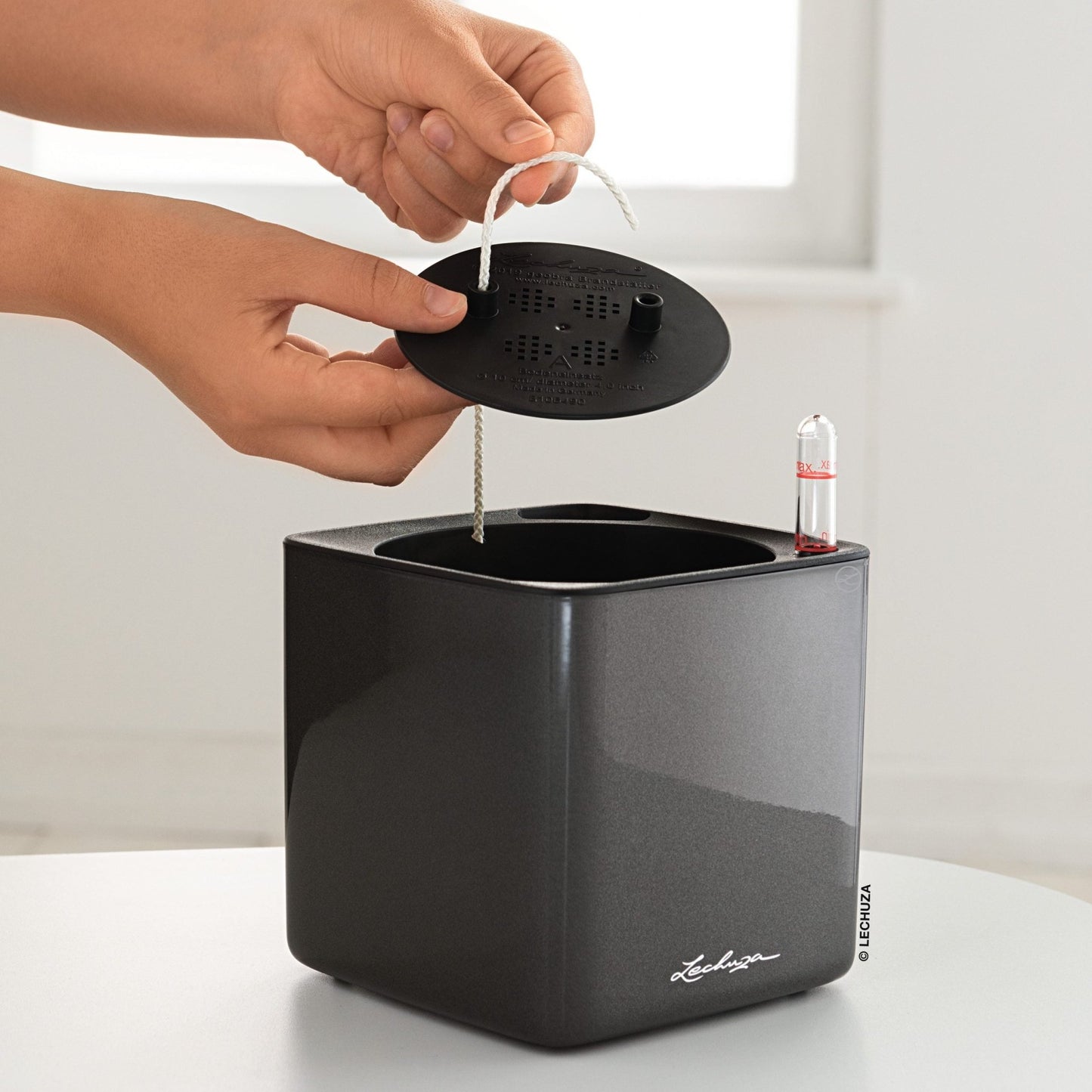 Planting Plate - For Stick Systems - mazeproducts