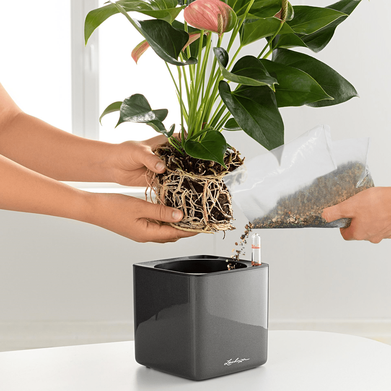 Planting Plate - For Stick Systems - mazeproducts