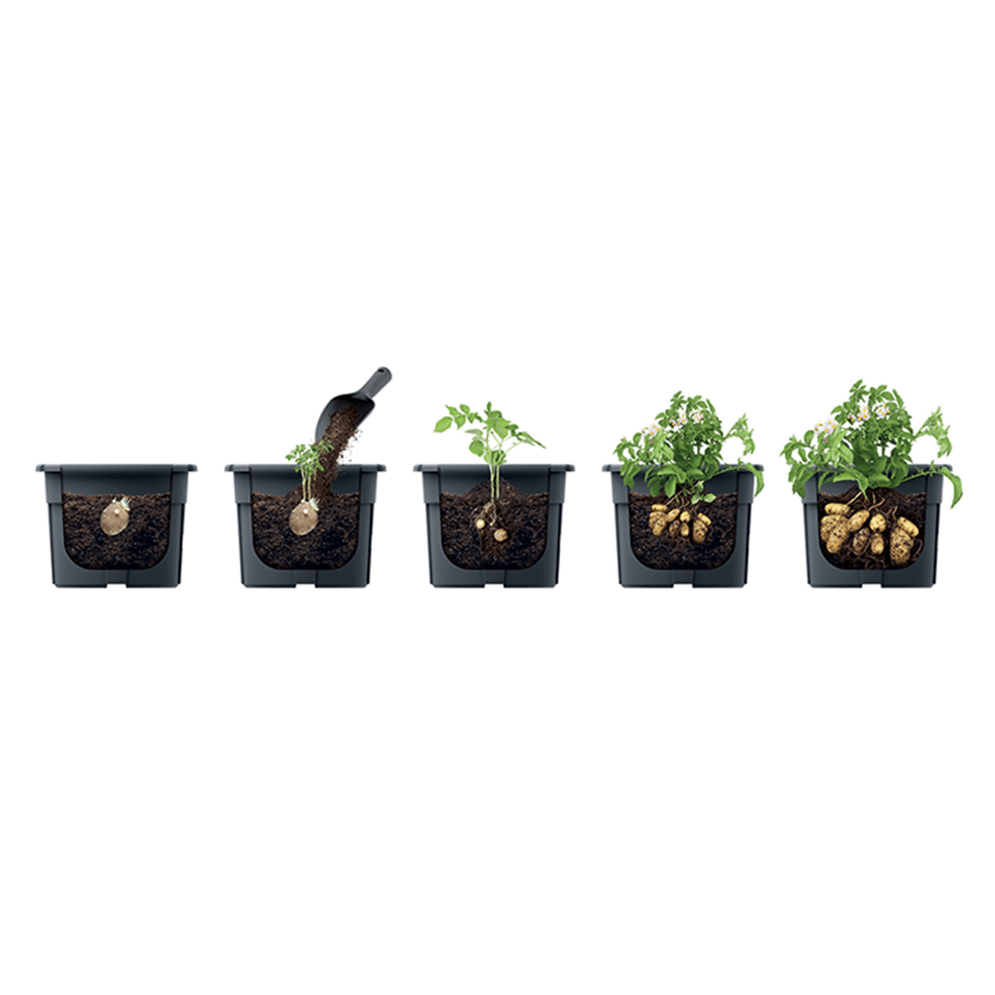Potato Grower Planter 300 - mazeproducts