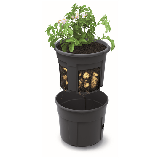 Potato Grower Planter 300 - mazeproducts