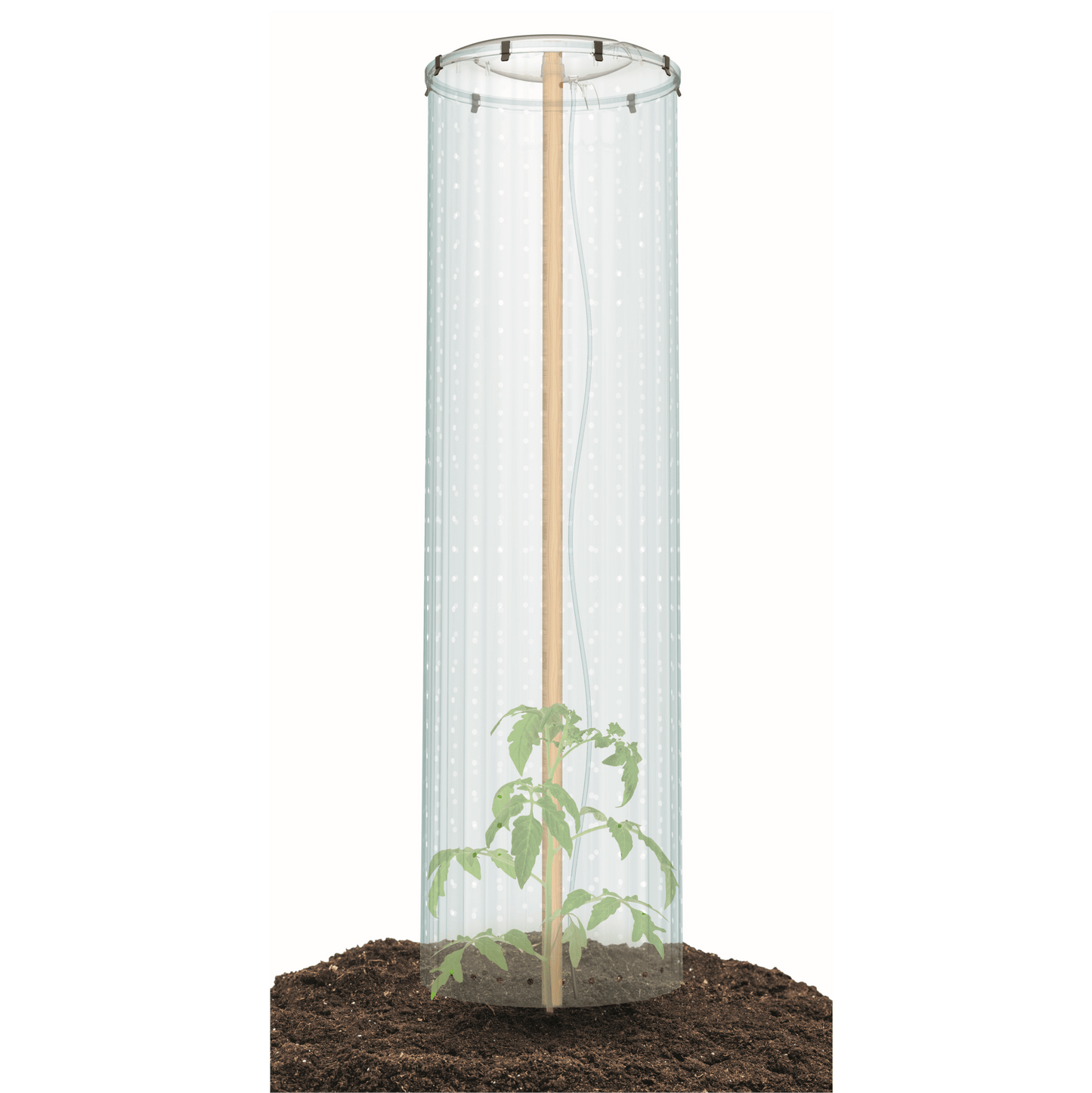 Protective Cover for Tomato Grower - mazeproducts