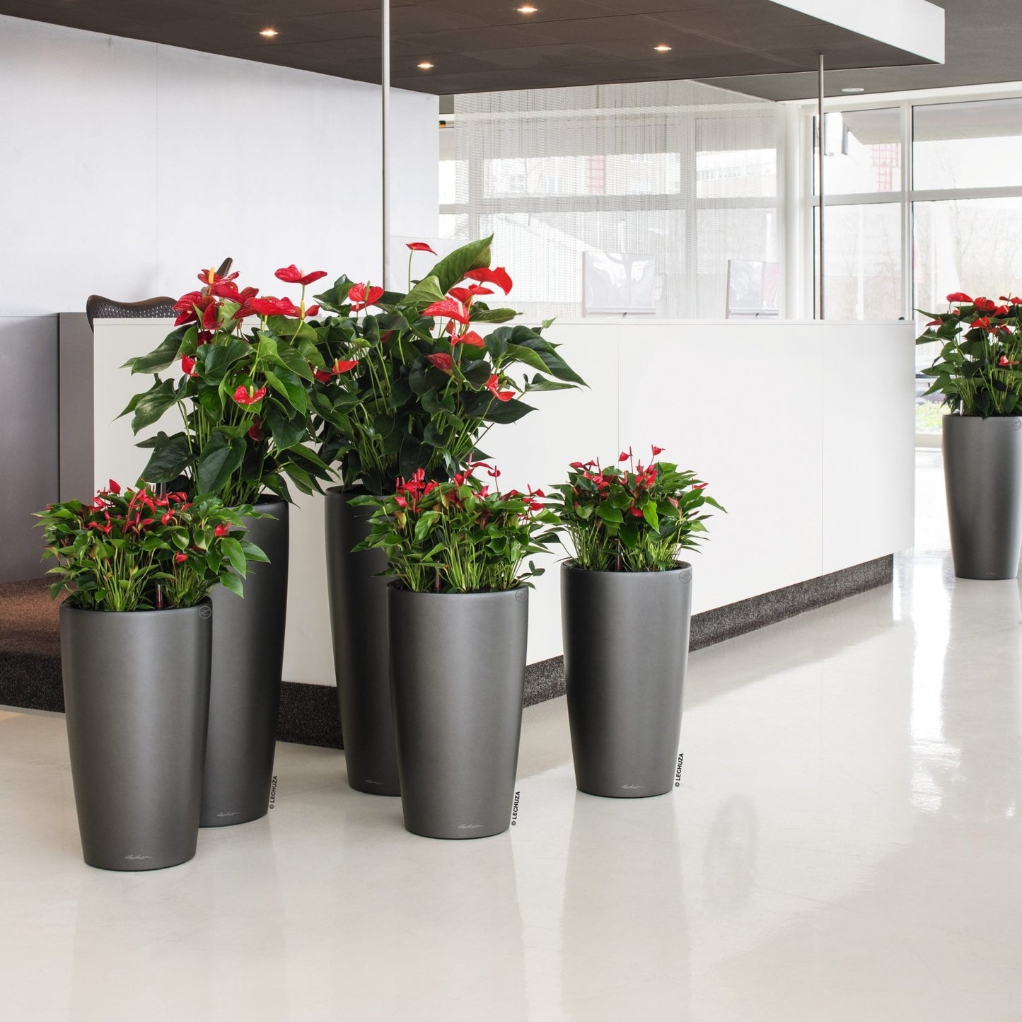 RONDO 32 Premium - mazeproducts