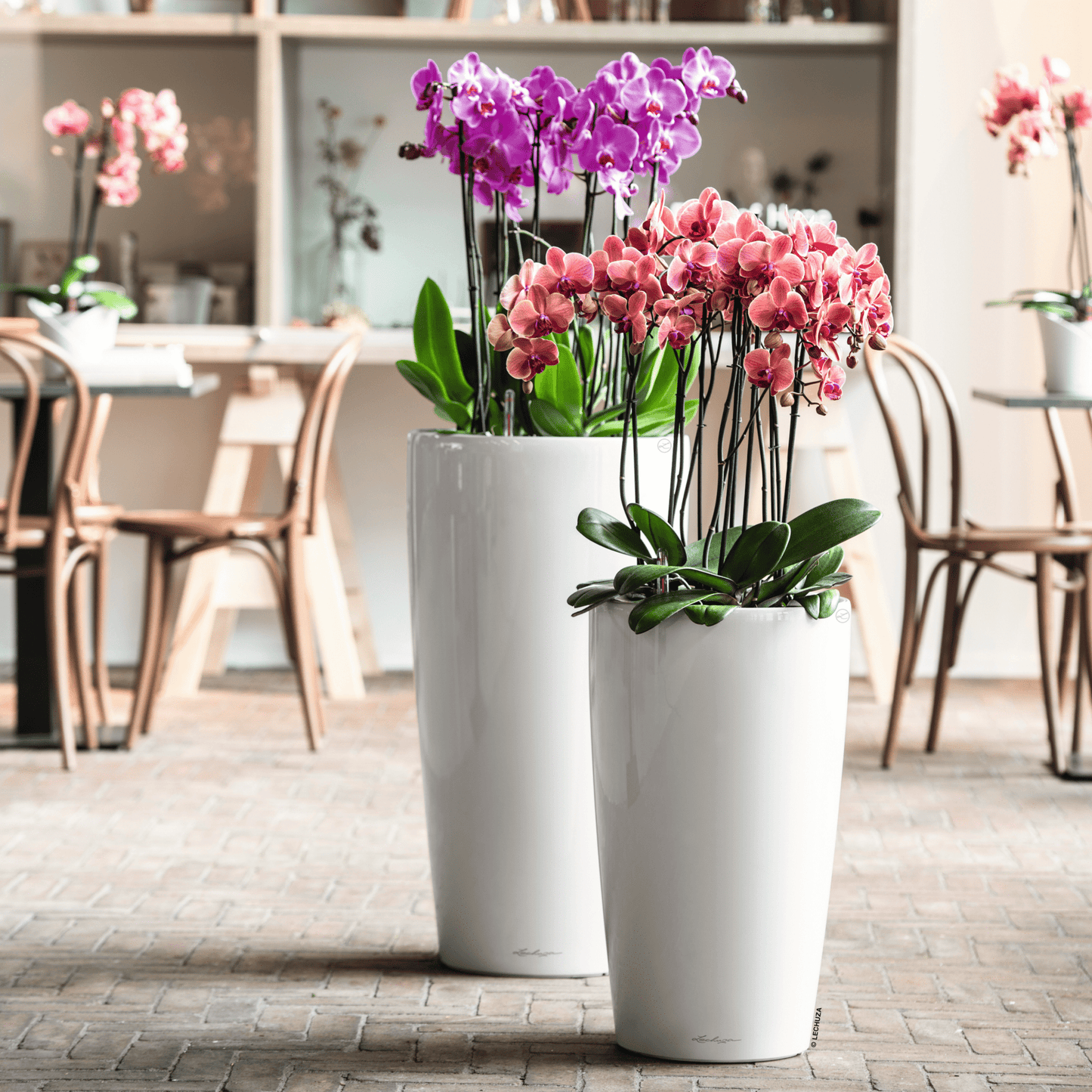 RONDO 32 Premium - mazeproducts