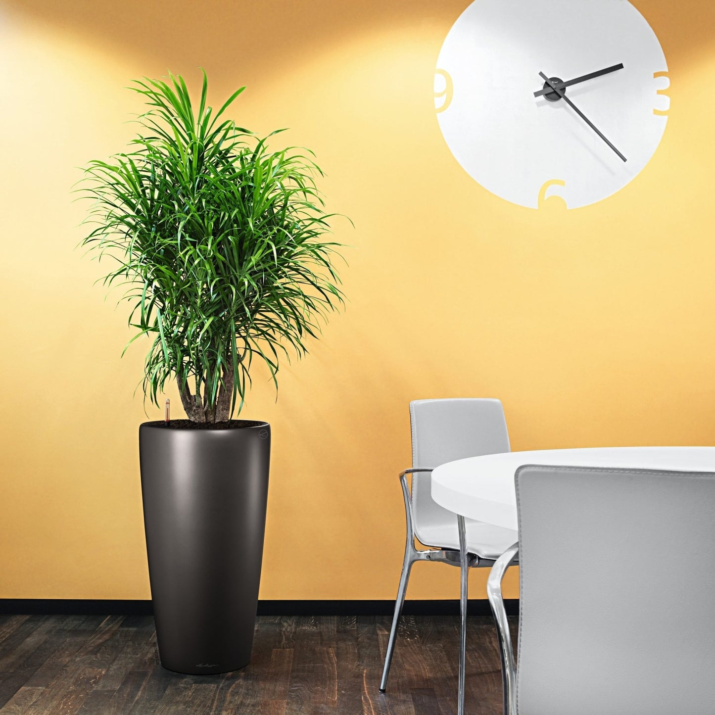 RONDO 32 Premium - mazeproducts