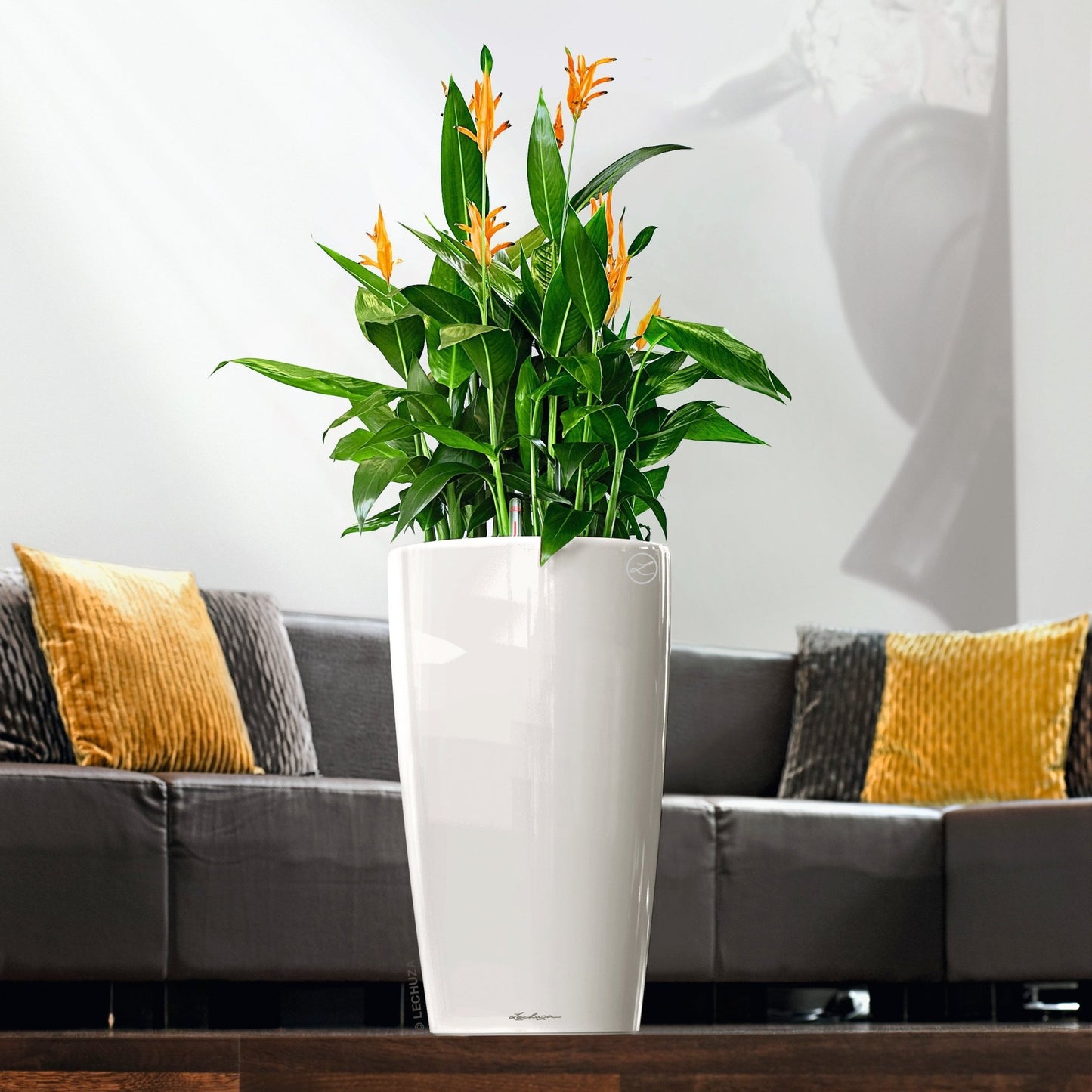 RONDO 32 Premium - mazeproducts