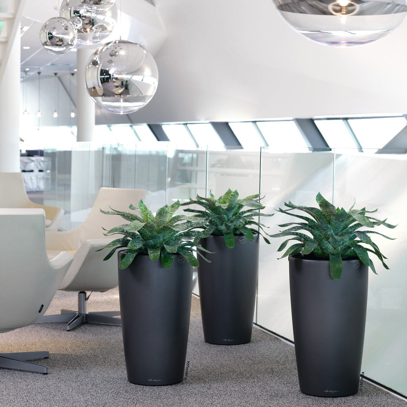 RONDO 32 Premium - mazeproducts