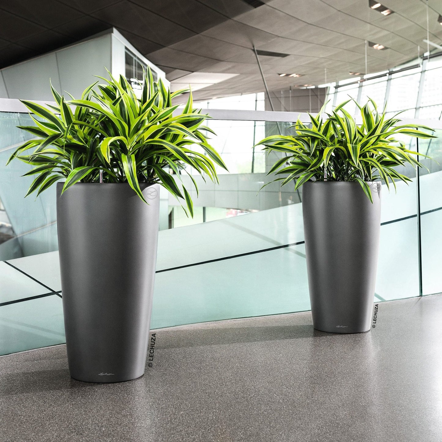 RONDO 40 Premium - mazeproducts