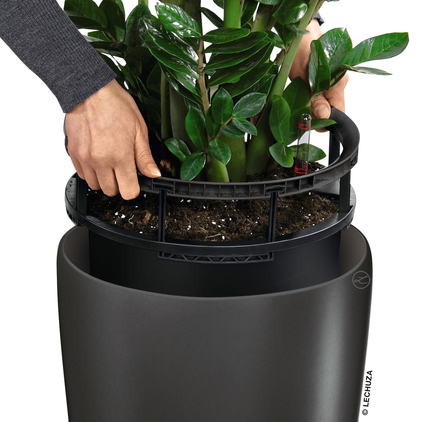 RONDO 32 Premium - mazeproducts