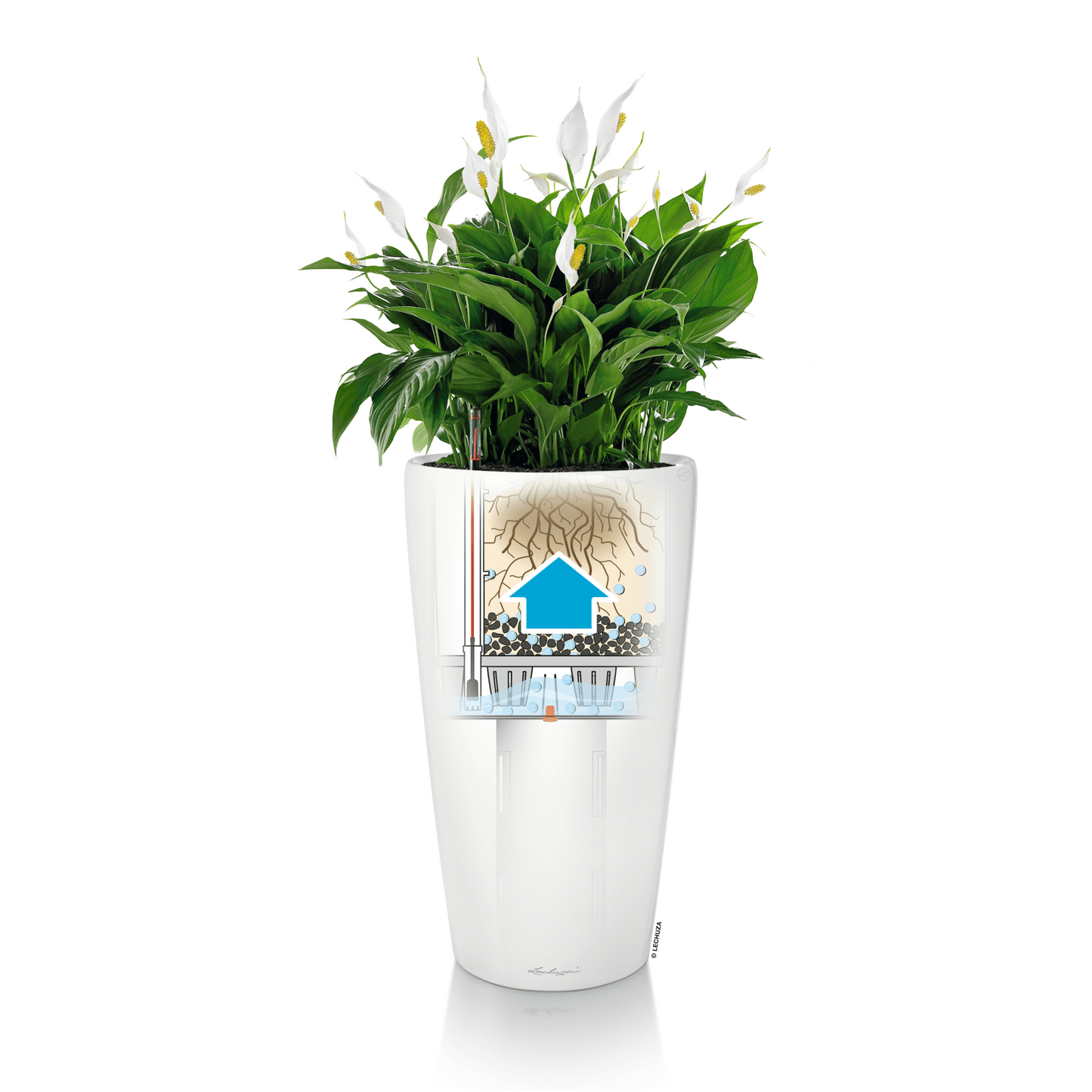 RONDO 32 Premium - mazeproducts