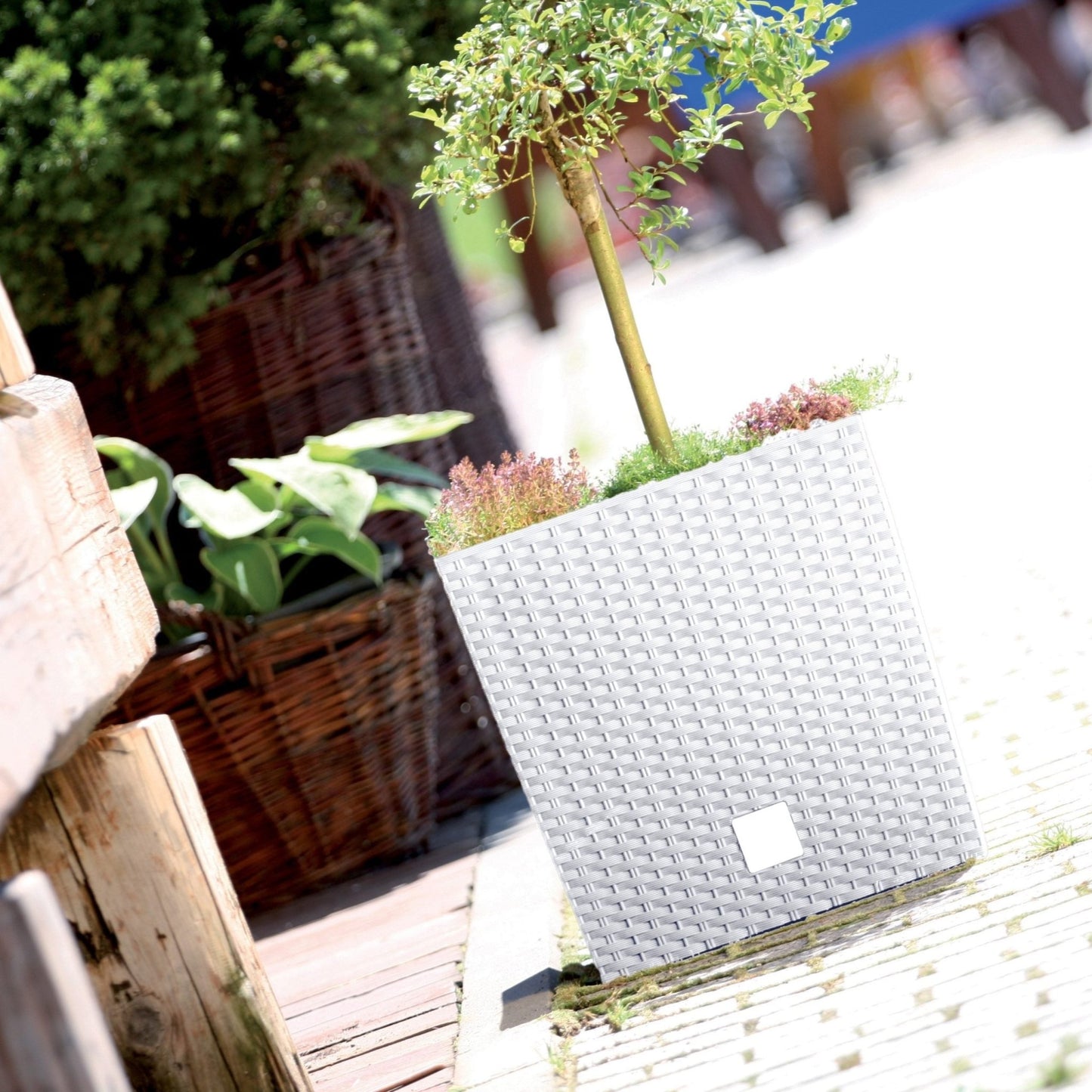 Rato Low Planter 325 - mazeproducts