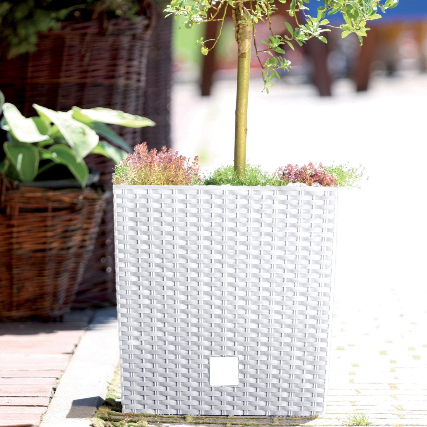 Rato Low Planter 400 - mazeproducts