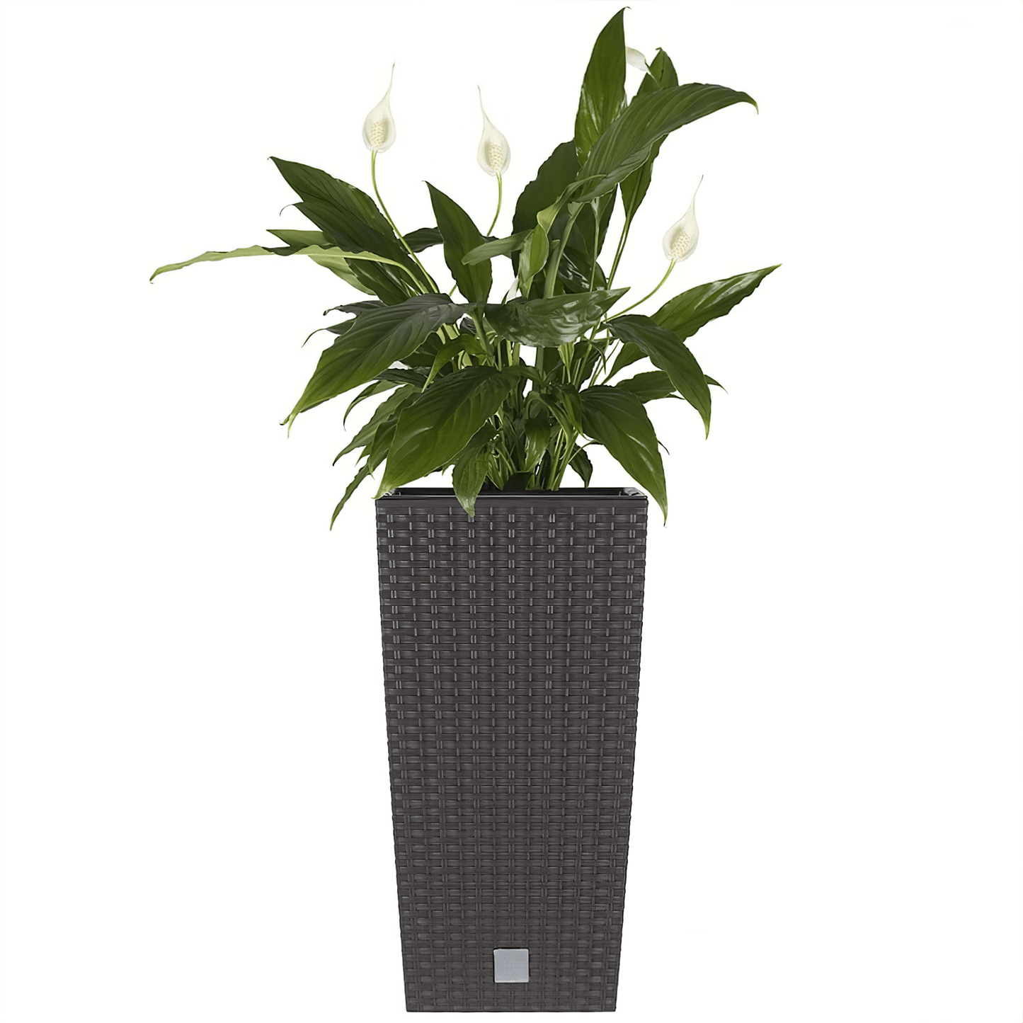 Rato Tall Planter 400 - mazeproducts