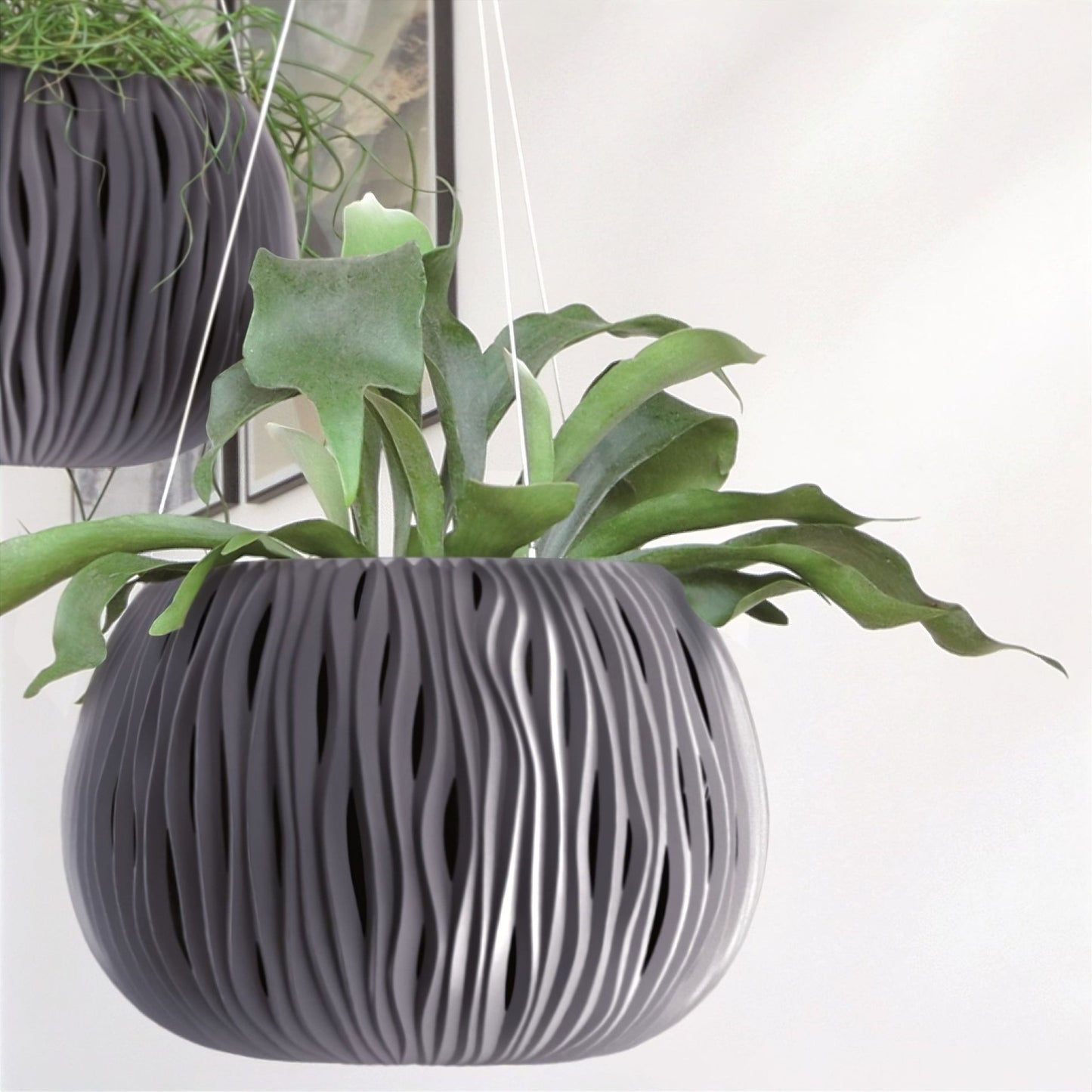 Sandy Hanging Planter 240 - mazeproducts