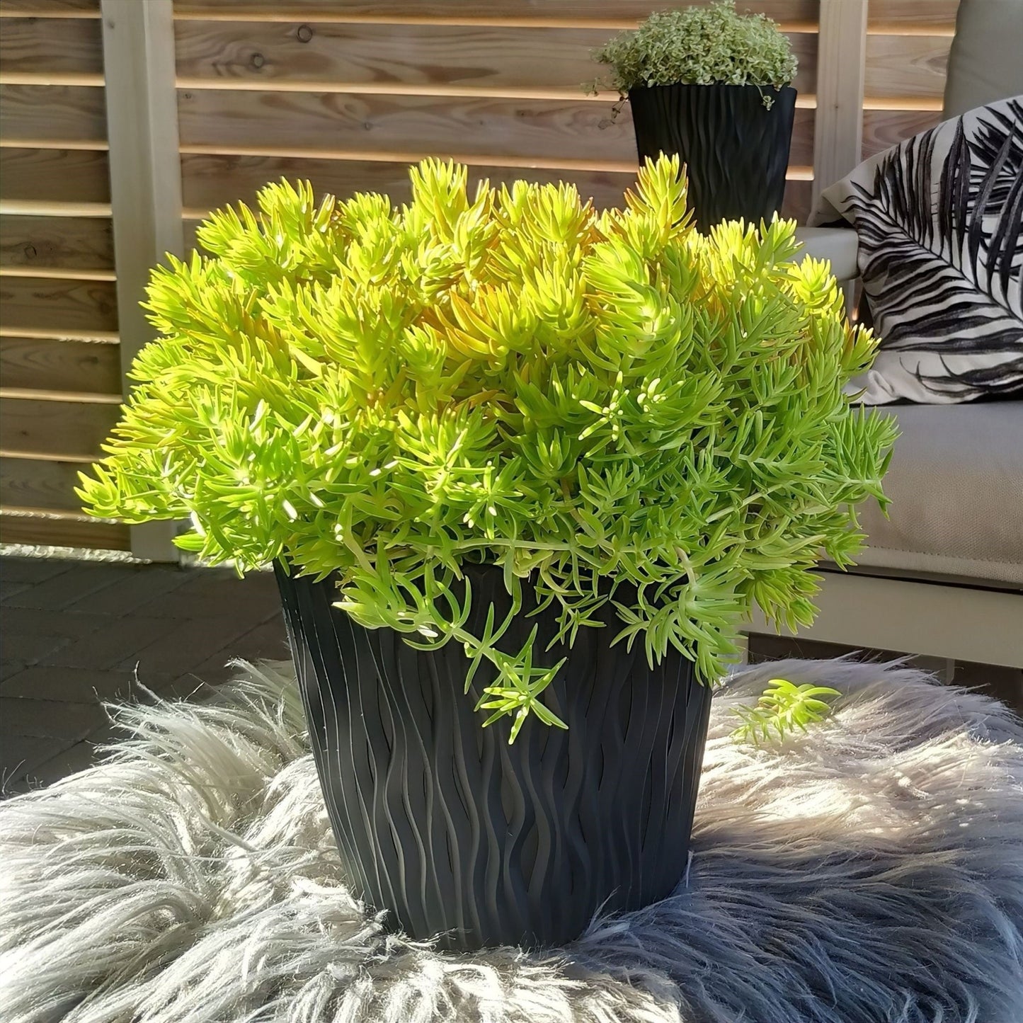 Sandy Round Planter 260 - mazeproducts