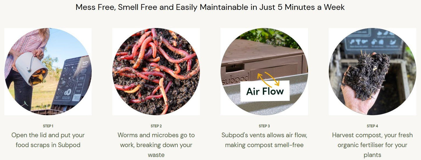 SubPod Worm Farm - Agave/ Green - mazeproducts