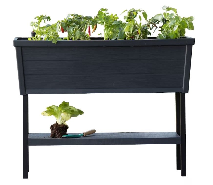 PRE ORDER: OCT. - Keter Alfresco Garden Bed - Black - mazeproducts