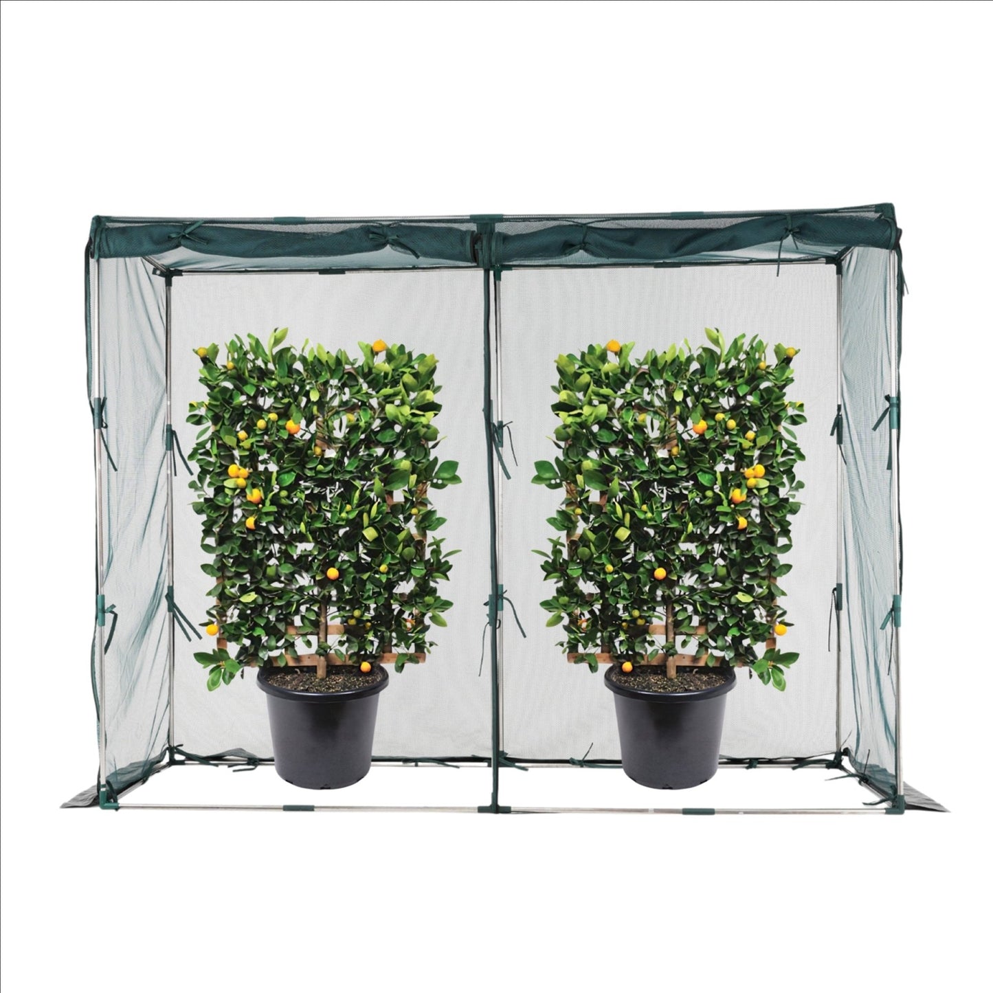NET Crop Protection Cage - Slim - mazeproducts