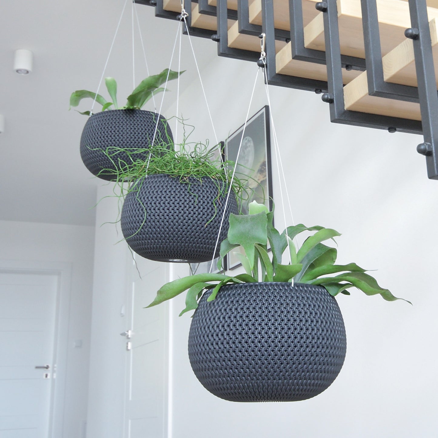Splofy Hanging Planter 240 - mazeproducts