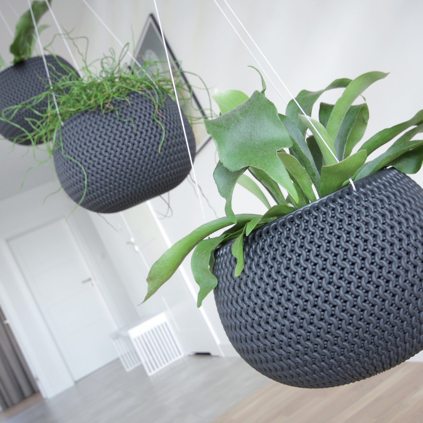 Splofy Hanging Planter 240 - mazeproducts