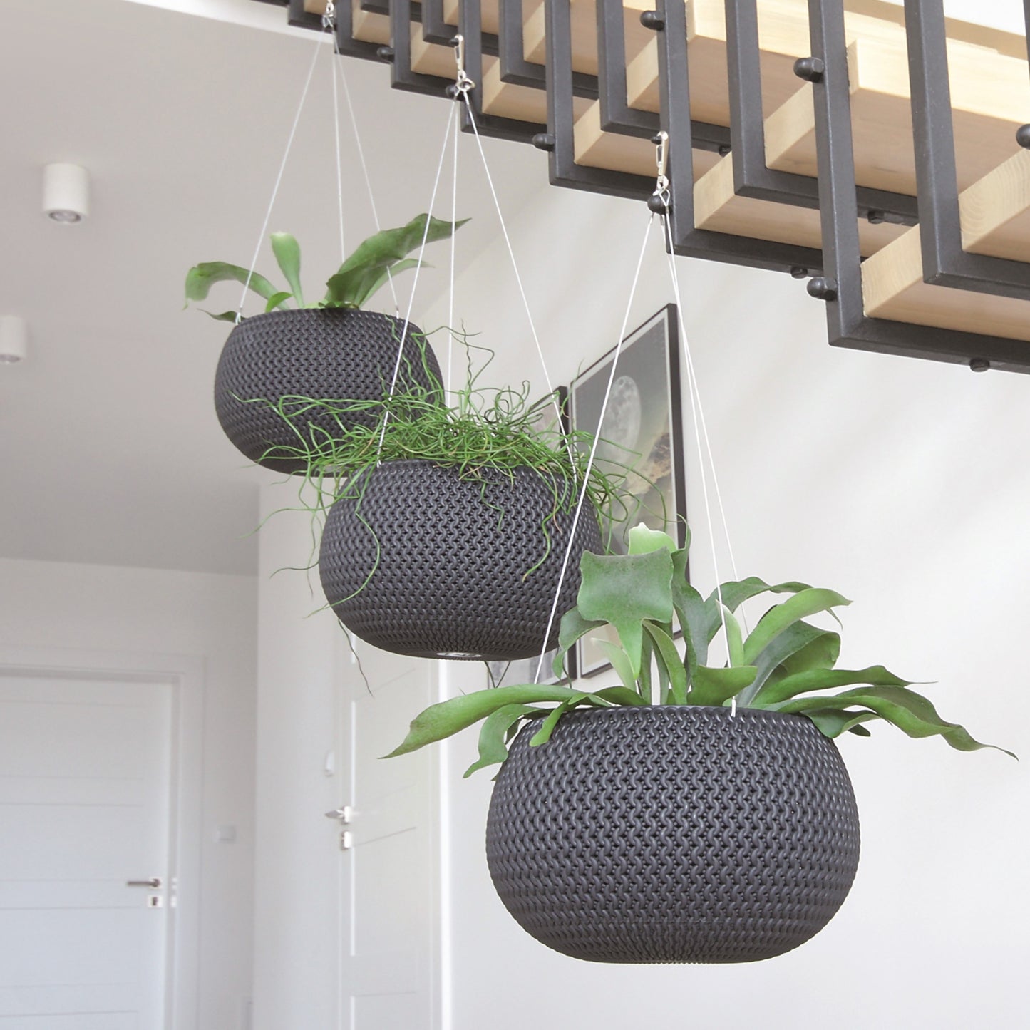 Splofy Hanging Planter 370 - mazeproducts