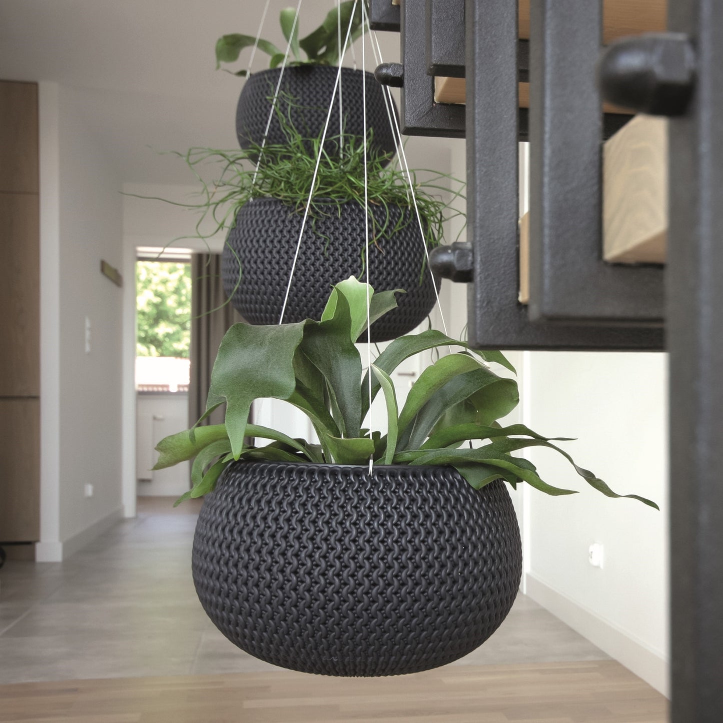 Splofy Hanging Planter 370 - mazeproducts