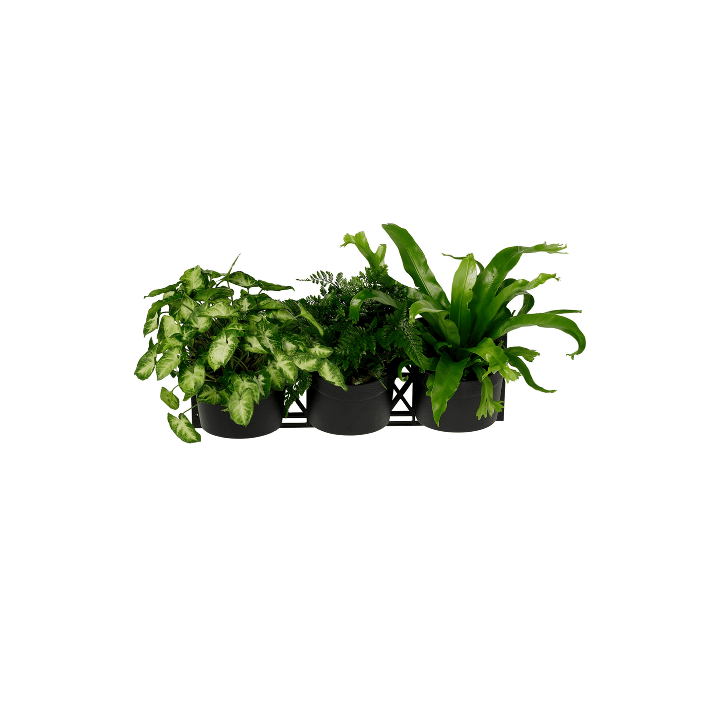 Standard THREE Tier Vertical Garden - mazeproducts
