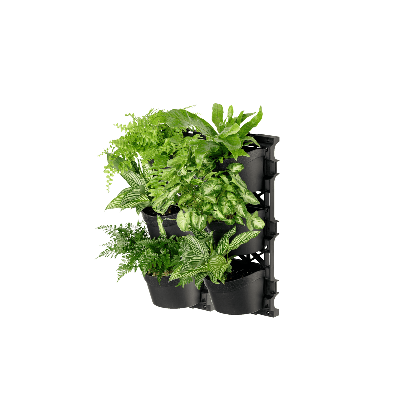Standard THREE Tier Vertical Garden - mazeproducts