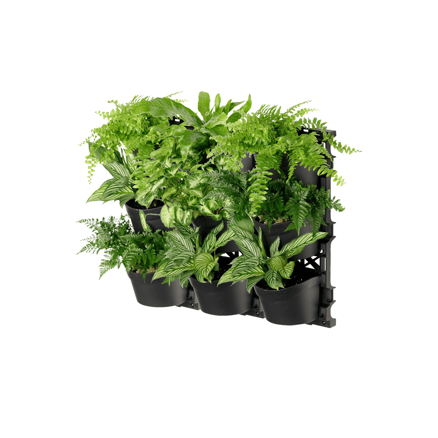 Standard THREE Tier Vertical Garden - mazeproducts