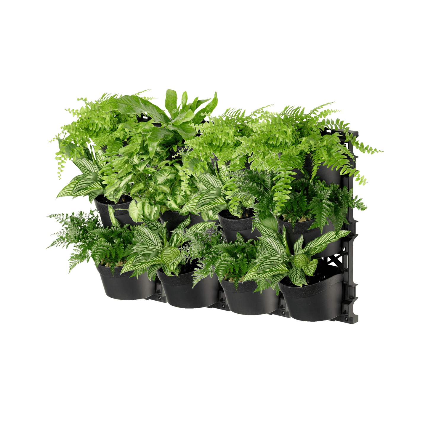 Standard THREE Tier Vertical Garden - mazeproducts