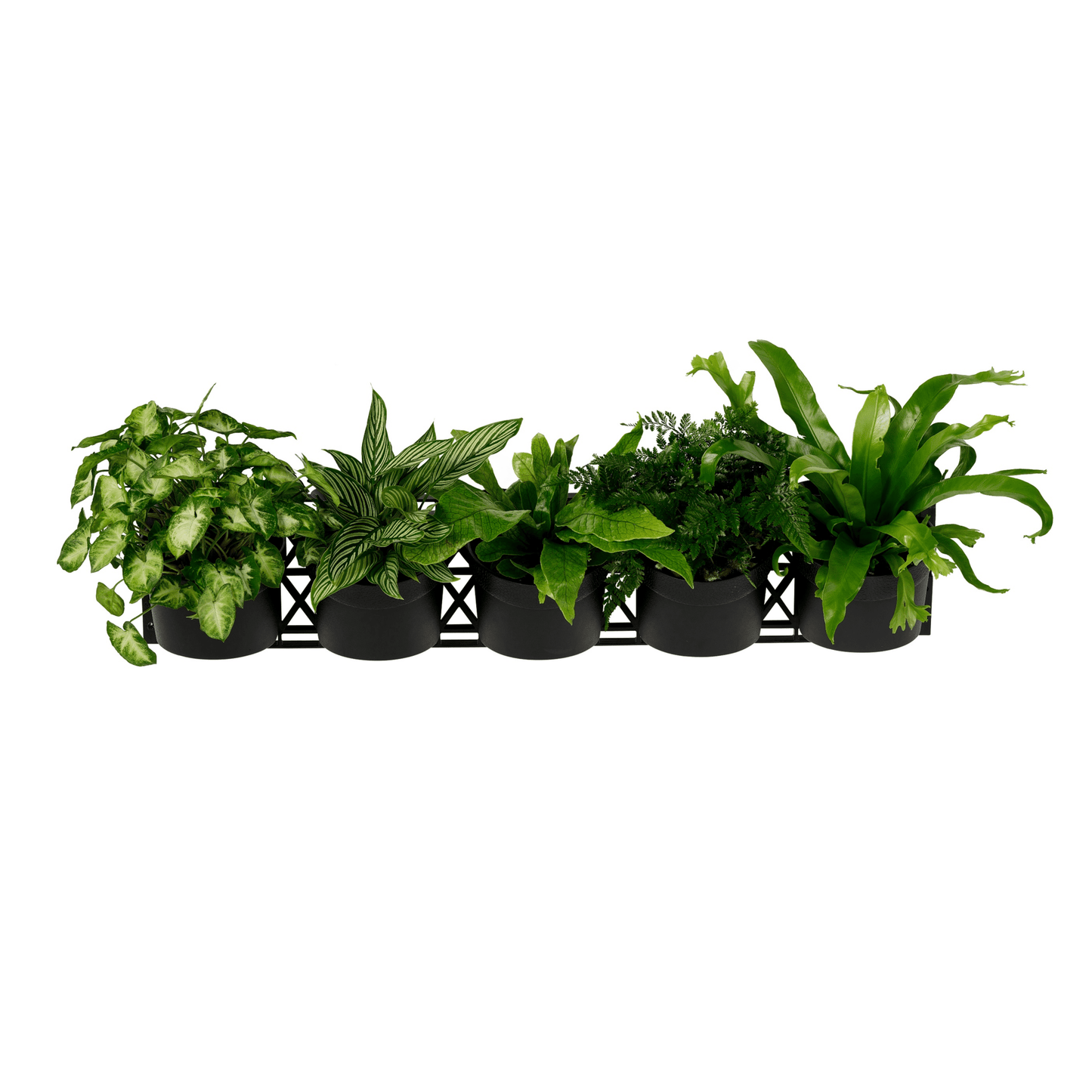 Standard FIVE Tier Vertical Garden - mazeproducts