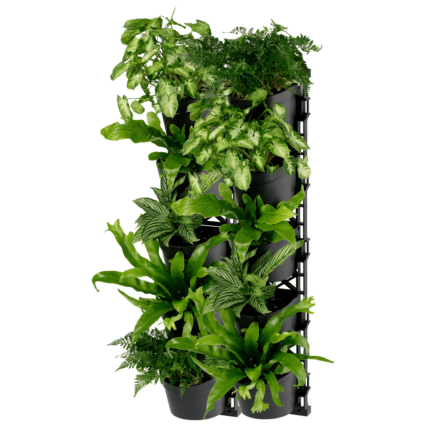 Standard FIVE Tier Vertical Garden - mazeproducts
