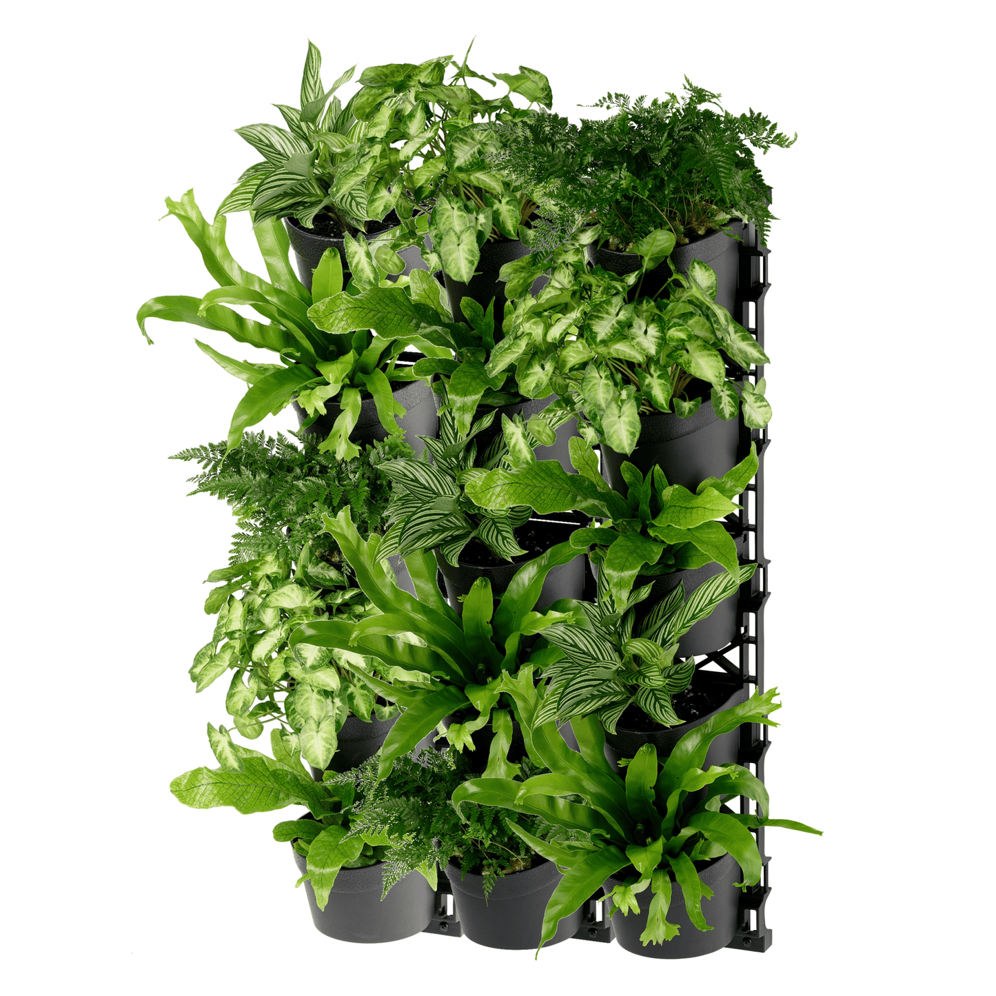 Standard FIVE Tier Vertical Garden - mazeproducts