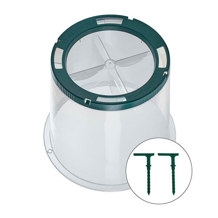 Sunny Cloche (Set of 5) - mazeproducts