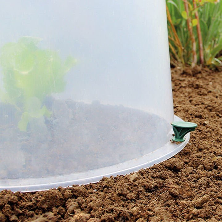Sunny Cloche - mazeproducts