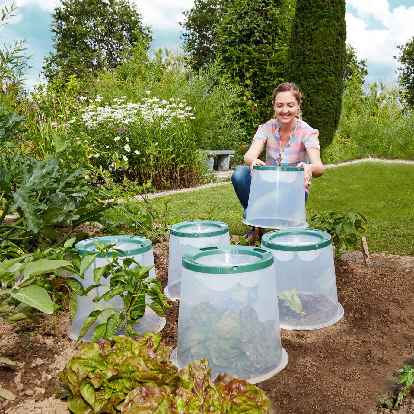 Sunny Cloche (Set of 5) - mazeproducts