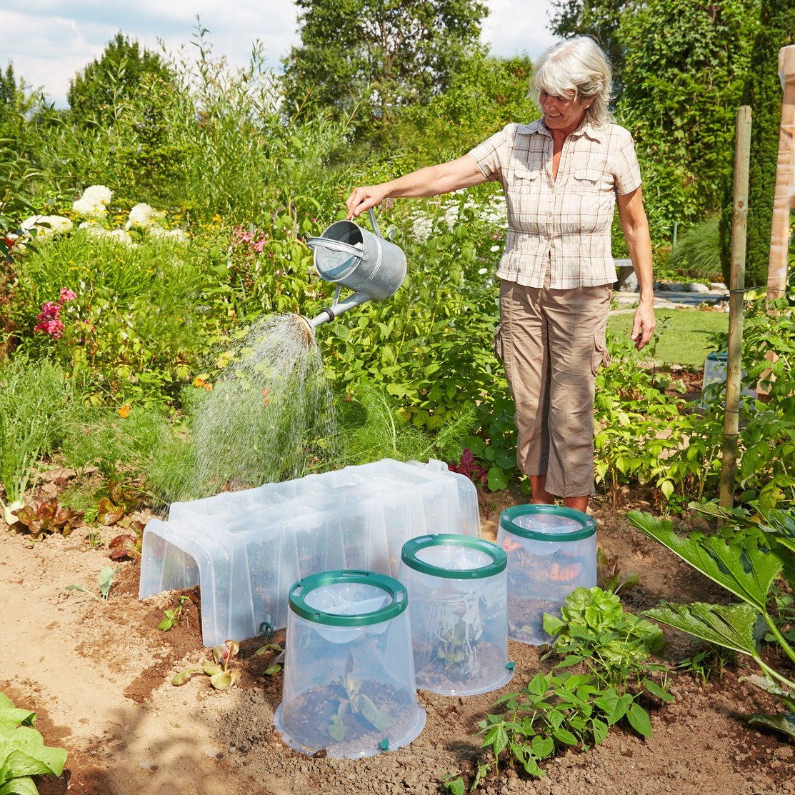 Sunny Cloche (Set of 5) - mazeproducts