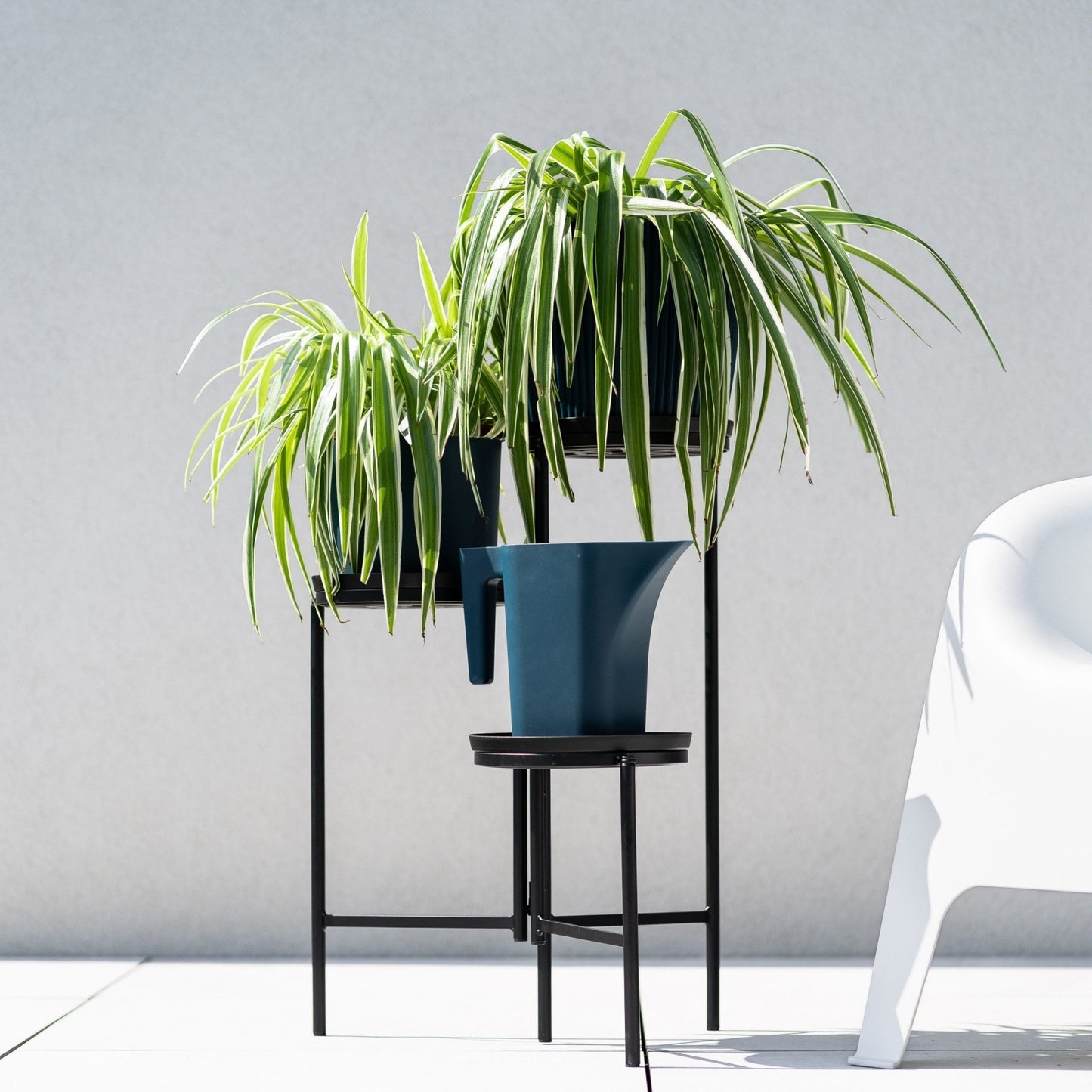 TOL Plant Stand - mazeproducts