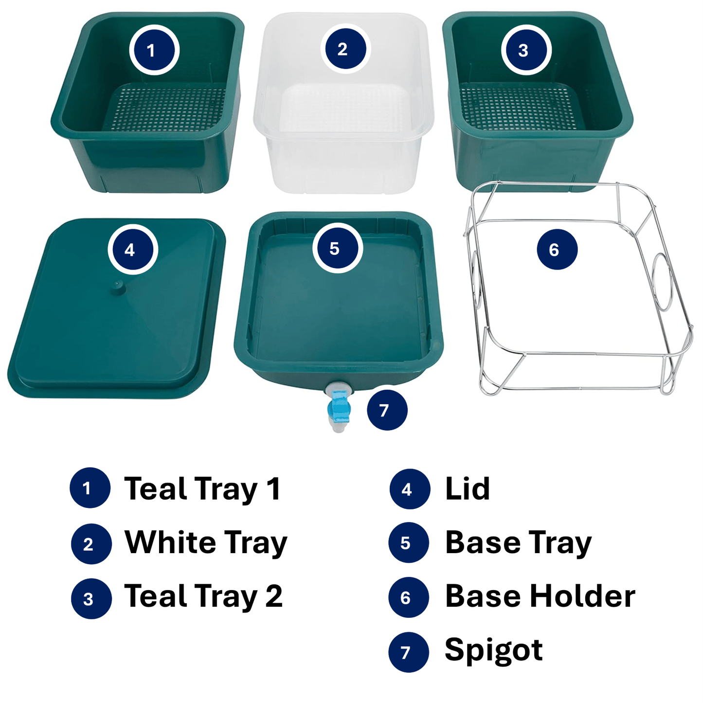 MINI 3 Tier Worm Farm (Teal) With 500 worms - mazeproducts