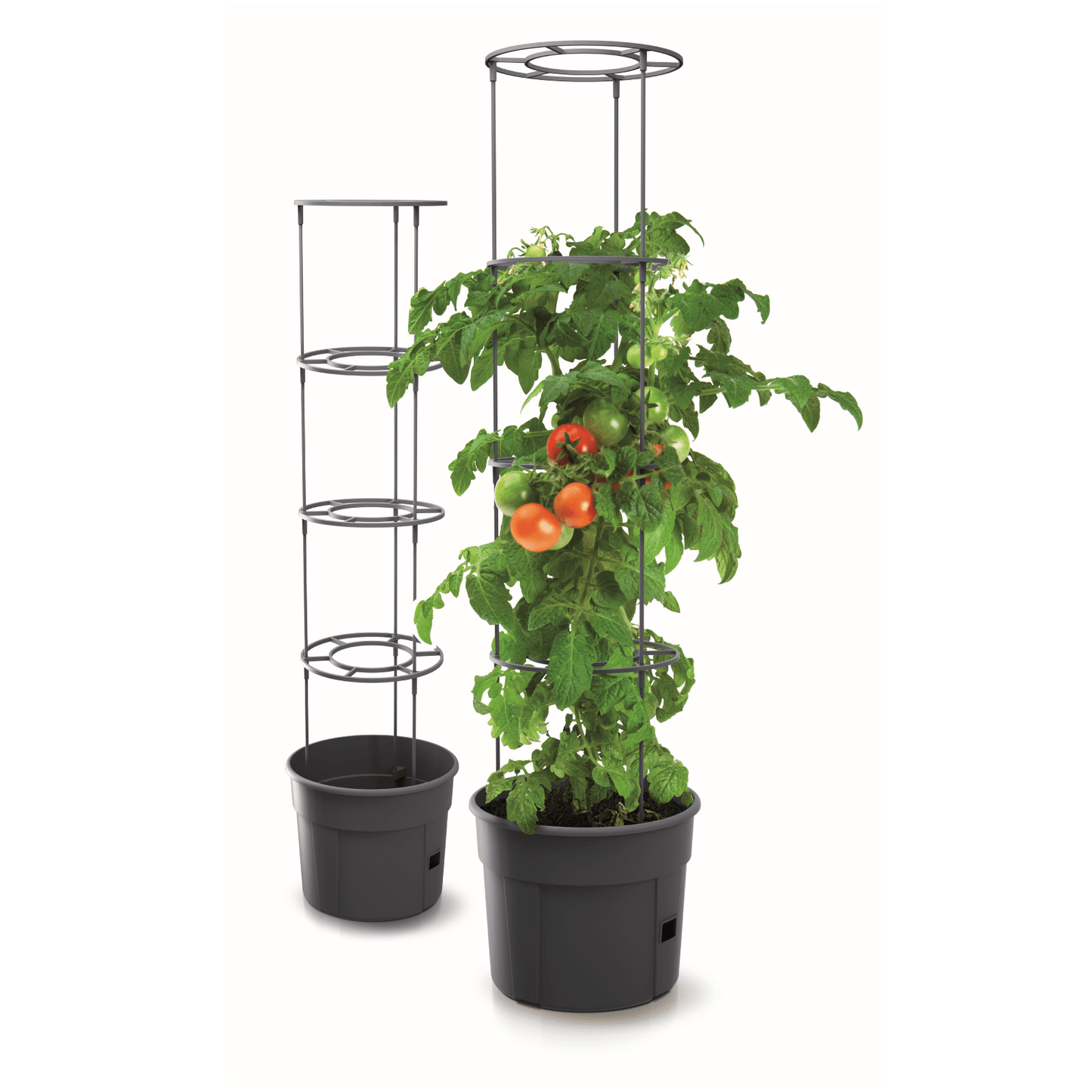 Tomato Grower Planter 400 - mazeproducts