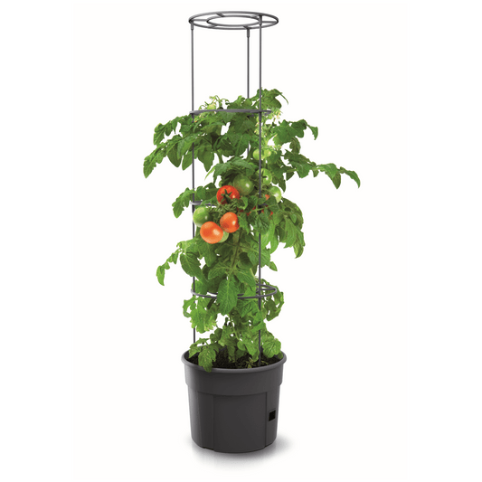 Tomato Grower Planter 300 - mazeproducts