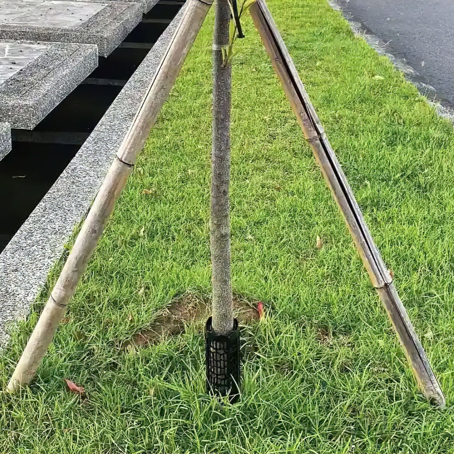 Tree Trunk Protector - Black - mazeproducts