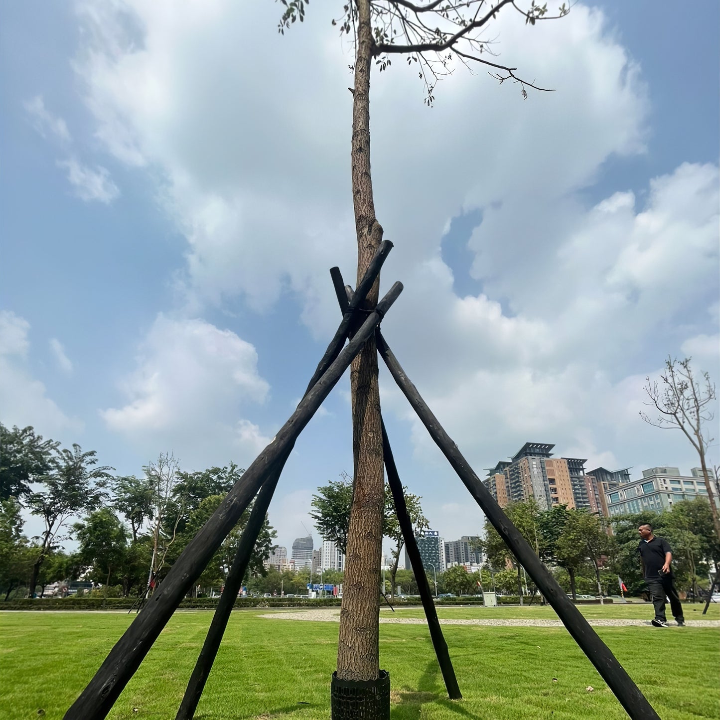 Tree Trunk Protector - Brown - mazeproducts