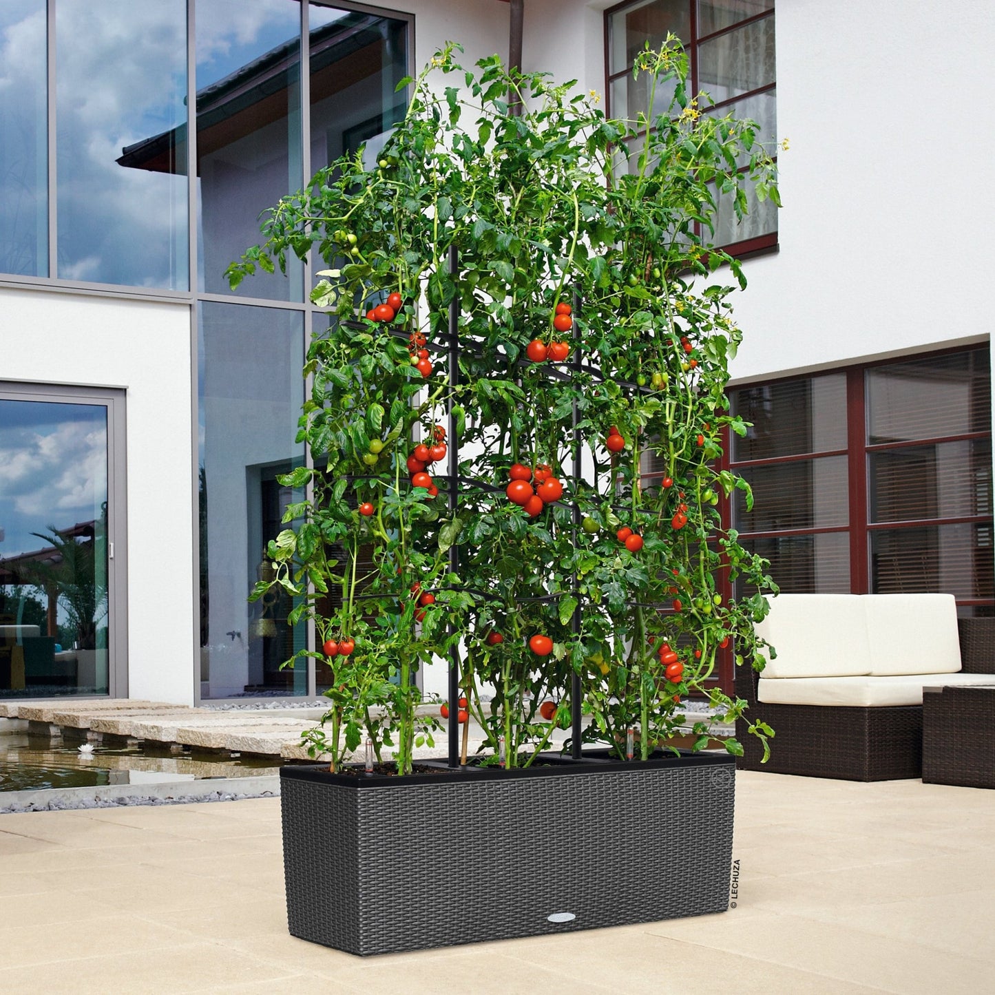 TRIO Cottage 30 - mazeproducts